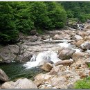 지리산구름채 Daum카페