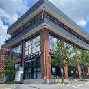 씨즈케어랩 | [8월] 3주차 daily