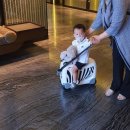 스테이 21 이미지