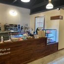 아기애견 이미지