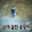 두환홍보라
