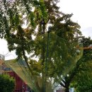 이화당 약국 이미지