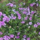 연미향마을 이미지