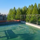 스위트서초 | 아이들 데리고 가기 너무 좋았던 서초 키즈파티룸, 서초시그니처 스위트 후기