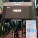 부산타워 | 부산여행 추천코스 야경 명소 부산타워 후기