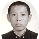 주광택