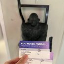 사랑이머무는집 | 구하우스 방문 후기 – 취향이 머무는 집｜연휴 서울 근교 양평 미술관 추천