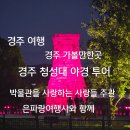 은파랑여행사