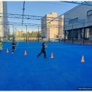 경희대유소년스포츠클럽 | 대전 도안동 축구교실 도담도담 유소년스포츠클럽 경험후기. 아이들이 기다리는 시간, 이곳 축구교실...