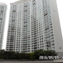 분당-397 이미지