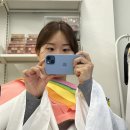 파랑청과 이미지