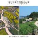 월드씨티라이프
