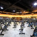 스테디 휘트니스(안중점) 이미지