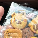 해솔김밥 | 포항 1박2일 조카들이랑 함께 다녀온 영덕독채풀빌라 해송해솔풀빌라