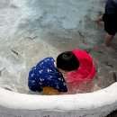 (주) 피싱파크 진산각 이미지