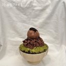 센민이자카야 이미지
