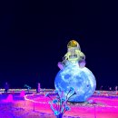 해운대이벤트광장 2 | 부산 해운대 빛축제 기간 일정 정보 2025 점등시간 바다 연말 여행 후기