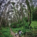 승봉도 캠핑장 이미지