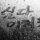 사랑하다