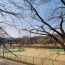 동천파크골프장 | 울산 공인인증 파크골프장 추천 5선 (전국대회 규모 파크골프장)