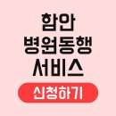 함안군건강생활지원센터 | 함안 병원동행서비스 신청 이용방법 노인 센터 자격 절차 요금 받는법 업체 비용 대상