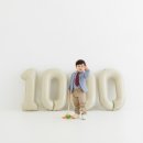 더세종타워 | 세종 천일 기념 사진 숫자풍선 촬영 후기 | 나성동 사진관 졔때 스튜디오