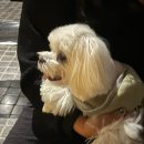 아침엔 춥고 오후엔 습기차는데요.?