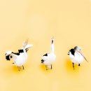 (주)아일랜드스토리