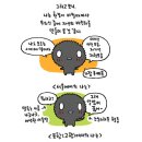 마린에꾸밈 네이버블로그