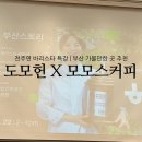 향스토리 | 도모헌 부산스토리 향 강의 후기 모모스커피 전주연바리스타