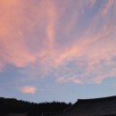 스테이 선광 이미지