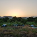 호명농장 이미지