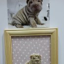 손으로 즐기는 예술 가죽공예를 배워봅시다. | 온가족이 함께 즐기는 핸드메이드 코리아 페어 2014