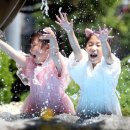 전남 물레방아 전남일보