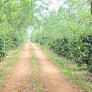 산적농장 이미지