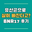 17 | 유산균으로 살이 빠진다고? BNR17 후기 보고 결정하세요