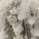 사브랑 | 23. 르사브 본식스냅 솔직 후기...