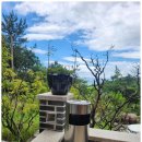 신안 금송재 한옥 호텔 이미지