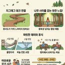 하늘기쁨작은도서관 | 남산 하늘숲길 무장애 산책로, 도심 속 초록 힐링,