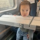 곡성역 | 곡성역 수유실·물품 보관함 정리|아이와 곡성 여행