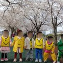 풀잎어린이집 이미지