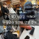 끼미용실 - 창원시 마산회원구 | 광주 북구 미용실 끼헤어 전대 가을맞이 톤다운 염색 후기