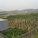 대매농장 이미지