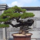 제주아트랜드 이미지