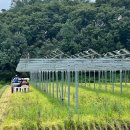 한창태양광발전소 이미지