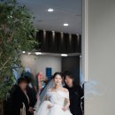 폼스 | [본식 네추럴폼스 스냅 후기, W웨딩 국민연금웨딩홀] 당연히 내돈내산, 본식 스냅 네추럴폼스 후기, 대만족