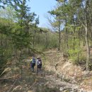 신낙남정맥 2구간 - 너더리고개에서 녹산수문 (0.8+13.6=14.4km) 이미지