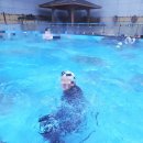 웅진 | 부천 웅진플레이도시 크리스마스 방문 후기