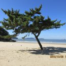 신진대교아래 안흥항 이미지