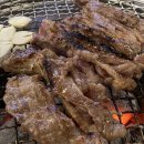 뉴진갈매기 이미지